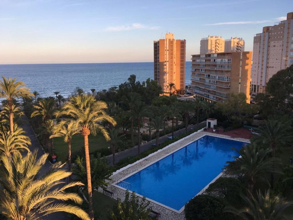 Alicante Plage Muchavista Vu Mer Piscine ,Wifi מראה חיצוני תמונה